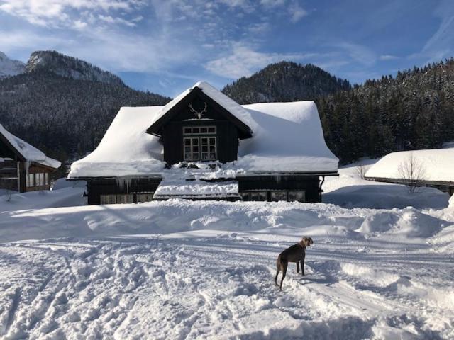 Die Alte Blaa Altaussee Kültér fotó