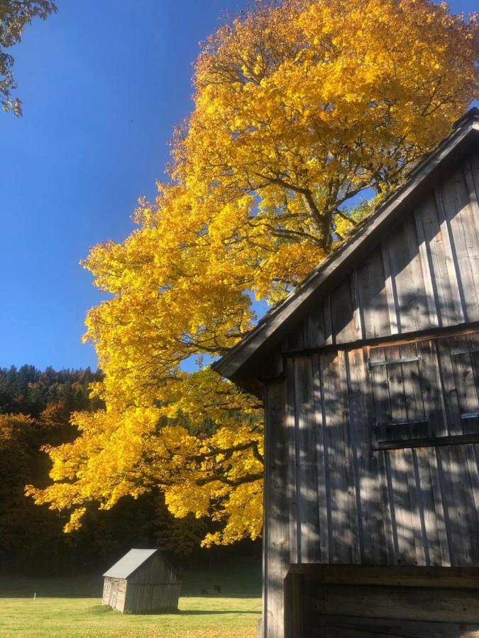 Die Alte Blaa Altaussee Kültér fotó