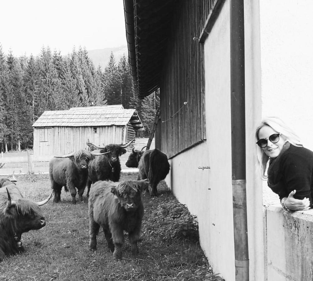 Die Alte Blaa Altaussee Kültér fotó