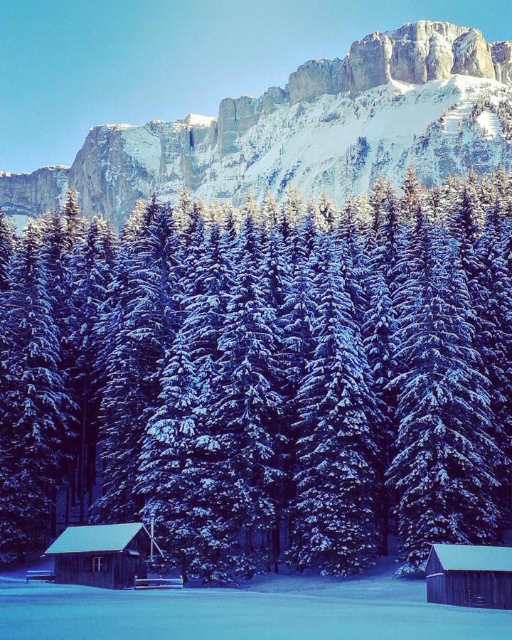 Die Alte Blaa Altaussee Kültér fotó